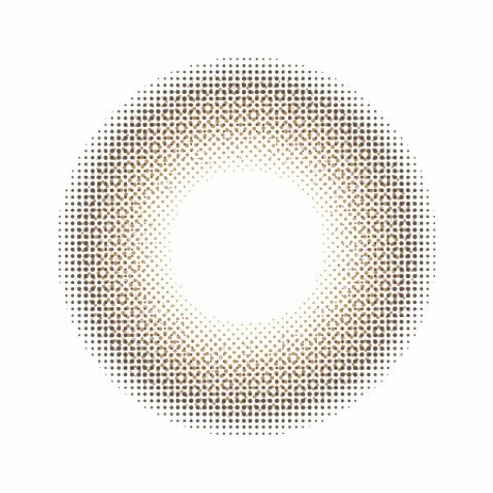 プロウィンク　ヴェールマロン　レンズ画像