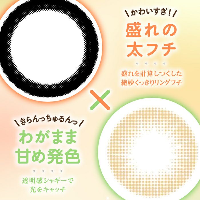 シャプン　太フチ
