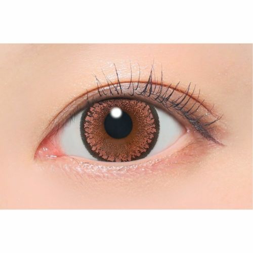 キャンマジ　1day　シュガーブラウン　装用画像