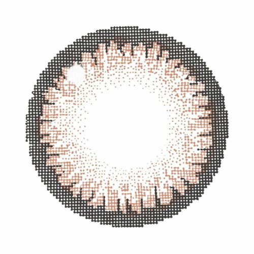 キャンマジ　1day　シュガーブラウン　レンズ画像