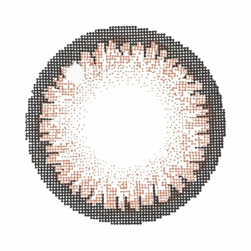 キャンマジ　1day　シュガーブラウン　レンズ画像