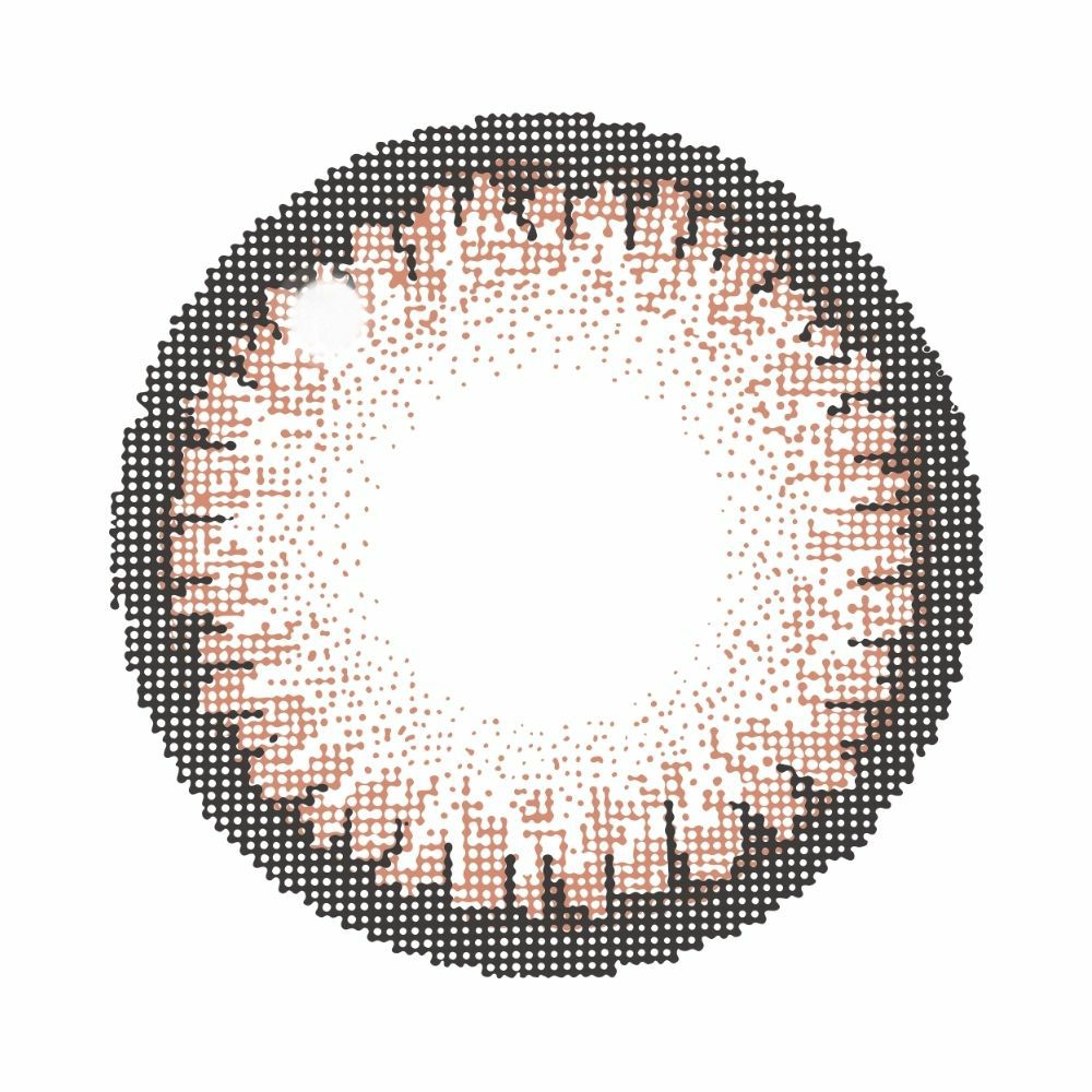 キャンマジ　1day　シュガーブラウン　レンズ画像