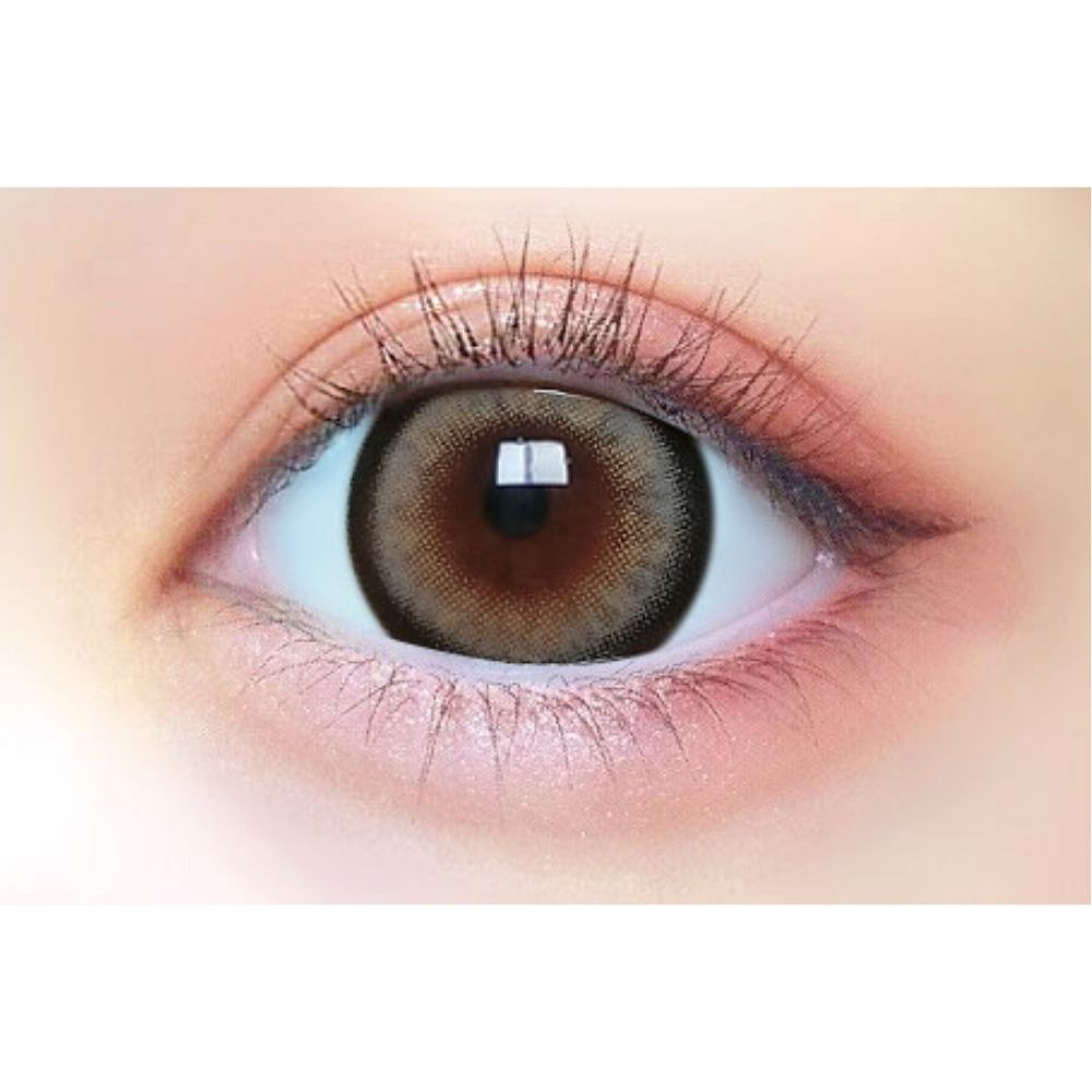 プリモア　プリガールグレー　装用画像